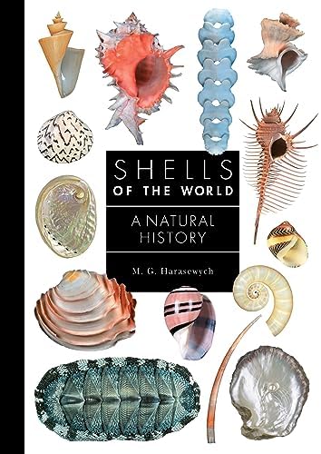 The Encyclopedia of Shells: Kenneth R. Wye: 9781861609526: Amazon